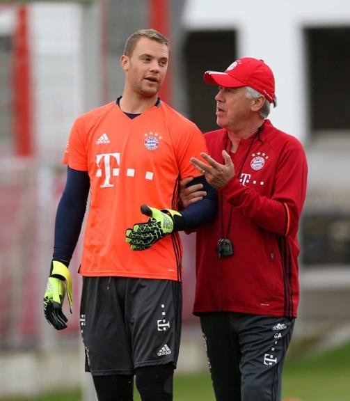 者稳定的红 者稳定的红