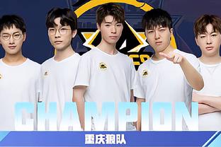 单防安全垫